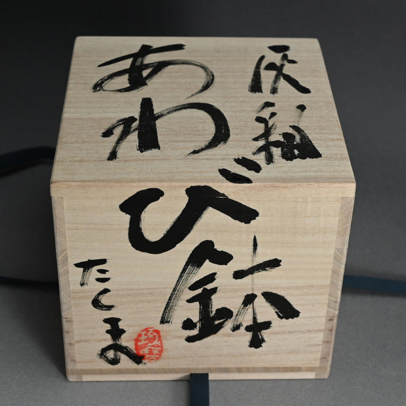 Set of 5 dishes ー村越 琢磨 “灰釉 あわび皿”