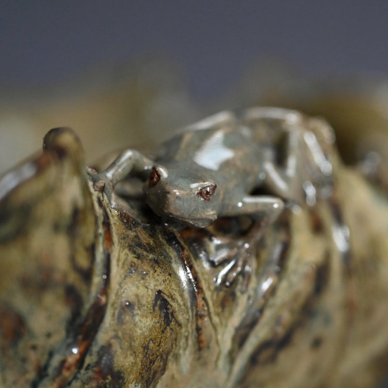 Lotus leaf Basin with Frog ー土楽庵 八田 蘇岳 “蓮葉形 水盤”