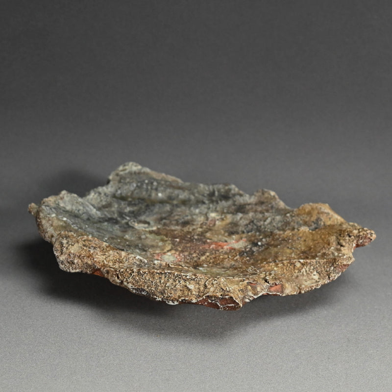 Iga Shinogi Plate ー新 学 “伊賀 鎬皿”