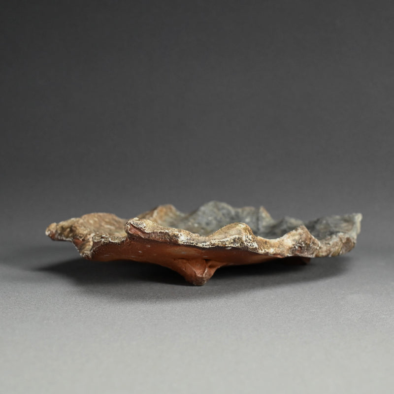Iga Shinogi Plate ー新 学 “伊賀 鎬皿”