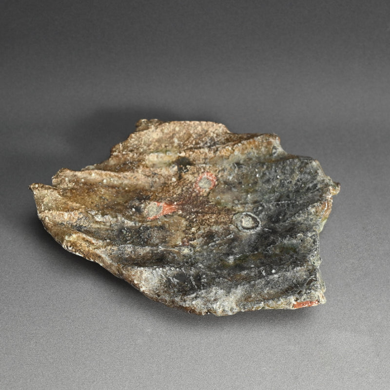 Iga Shinogi Plate ー新 学 “伊賀 鎬皿”