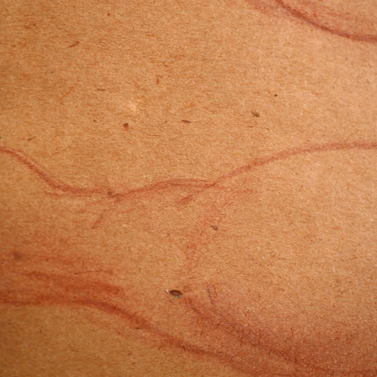 Nude Study, 1940s ー野村 耕 素描 “裸婦”