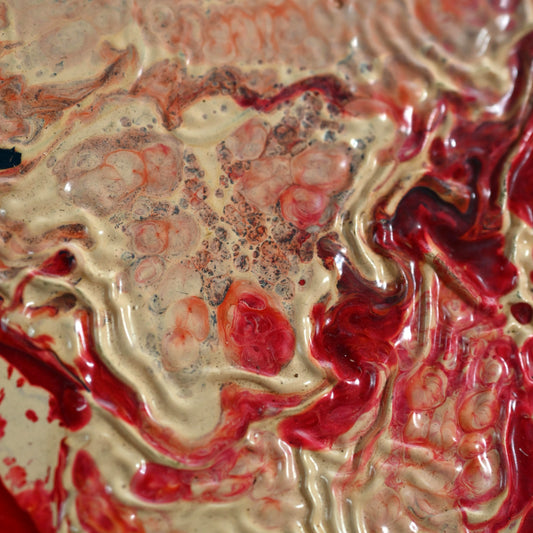 Untitled, Cashew Series, 1960 ー野村 耕