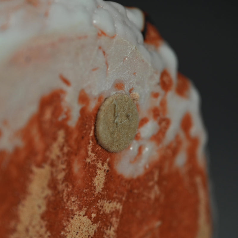 Stellar Shino Vase ー林 正太郎 “志野手桶花器”
