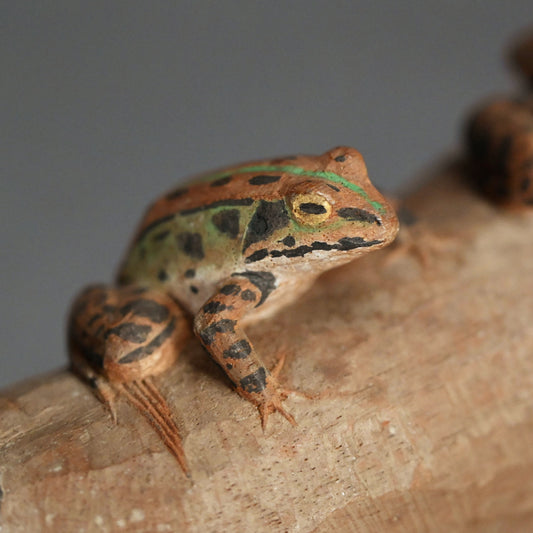 Carved frog Sculpture ー宮本 理三郎