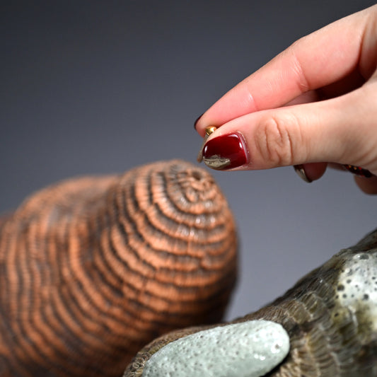 Ceramic Object Mino ー向井 奈生子 “蓋物 蓑”