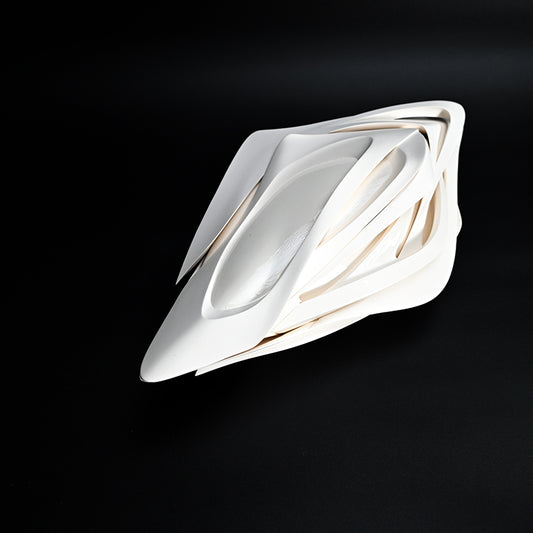 Masterpiece Sculpted Porcelain Container ー松村 淳 “Necrosis T.scripta”