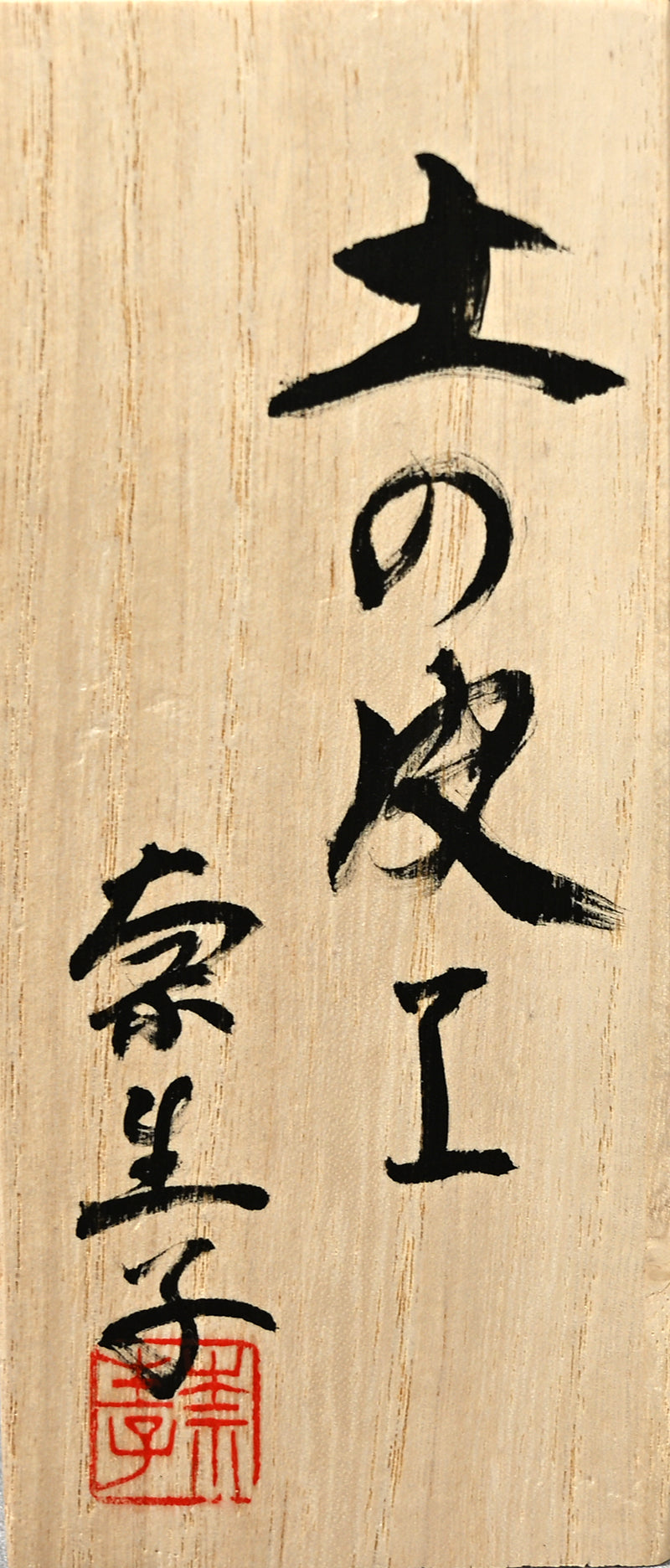 Phantasmagorical Ceramic Sculpture, “Skin of the Earth” ー向井 奈生子 “土の皮Ⅰ”