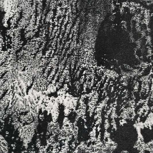 Untitled Monotype, 66 ー野村 耕