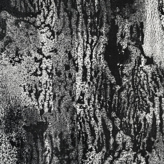 Untitled Monotype, 68 ー野村 耕