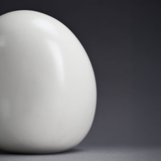 White Sculpture by Female Artist, 1989 ー須賀野 チイ "帰って来たアケラカン"