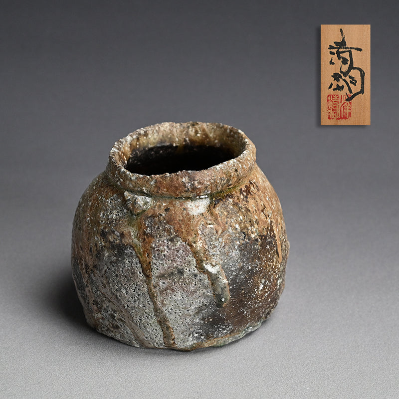 A Stellar Crusty Shigaraki Uzukumaru ー澤 清嗣 