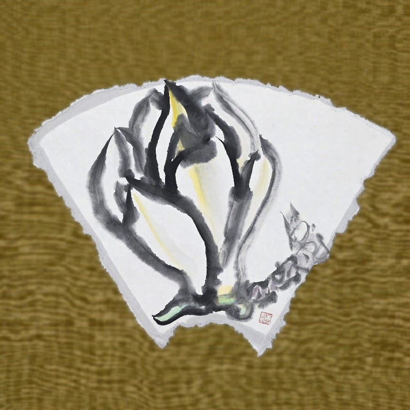 Fan Scroll with White Flower ーのむら 清六 "白い花"