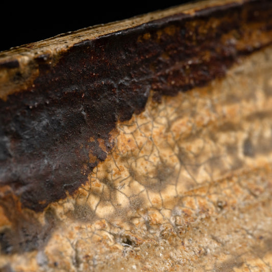 Fabulous Ash Glazed Serving Plate ー加古 勝己 “灰被雫紋大皿”