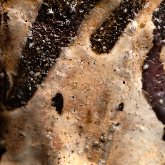 Kohiki Chawan Tea Bowl ー加古 勝己 “灰粉引鉄刷毛茶碗”