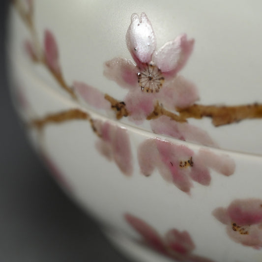 Contemporary Ceramic box, Sakura ー丹澤 裕子 “桜文 陶筥”