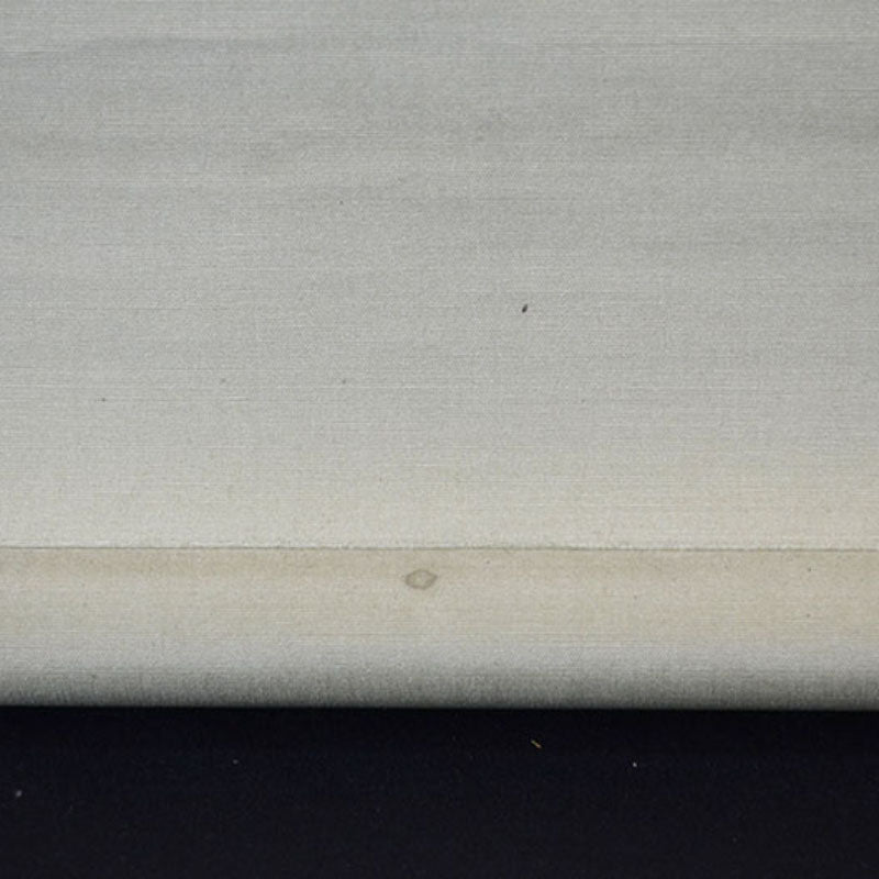 Cormorant, symbol of summer ー岸野 海雪 "霽後"