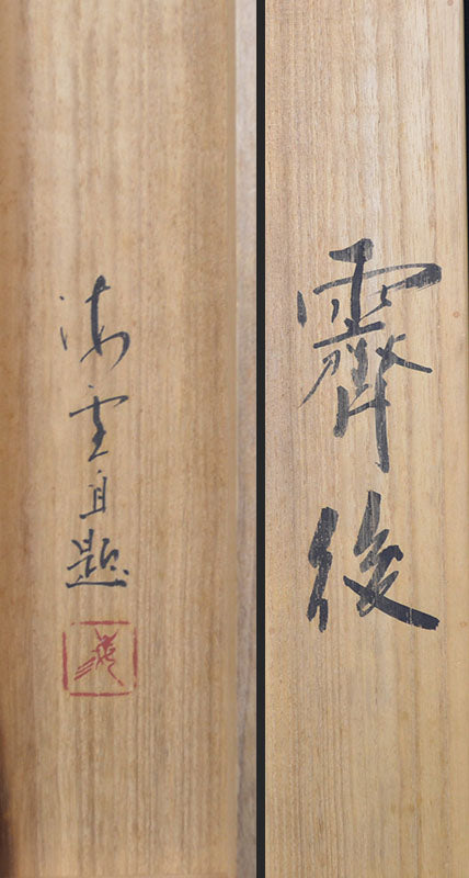 Cormorant, symbol of summer ー岸野 海雪 "霽後"