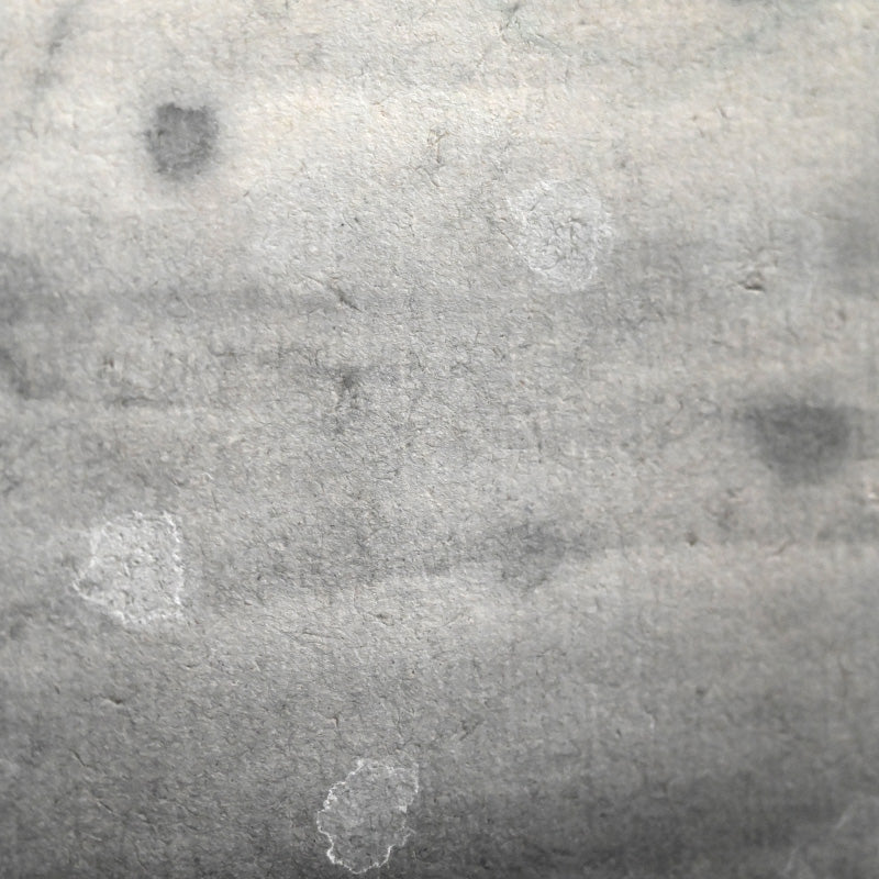 Marvelous Abstract Ink Painting, Snow Flakes ーのむら 清六 "春の雪"