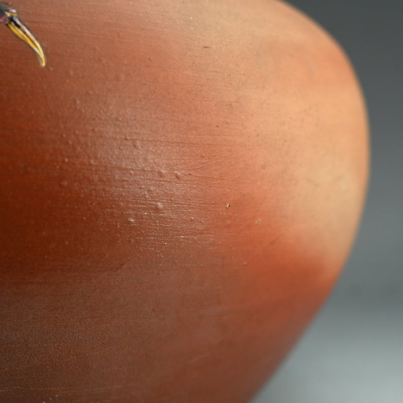 Crabby Vase ー宮川 香山 "素肌 蟹画 花瓶"