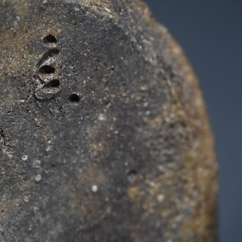 Contemporary Iga Tsubo ー小島 憲二 "伊賀焼 壺"