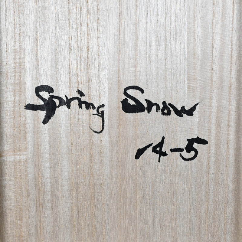 Spring Snow 14-5 ー星野 暁 "春の雪"