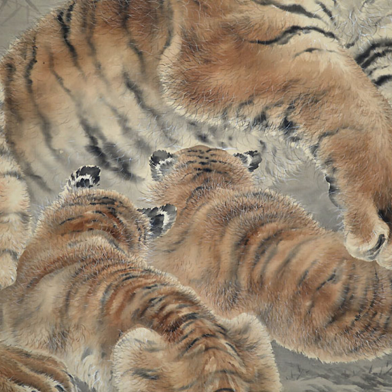 Superb Meiji period Tiger Scroll ー菊池 雲章“虎図”