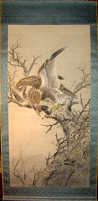 Taisho p. Museum Quality Scroll, Hawk ー鈴木 啓処 "枯木就鳥"