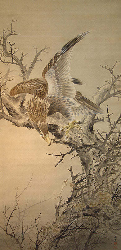 Taisho p. Museum Quality Scroll, Hawk ー鈴木 啓処 "枯木就鳥"