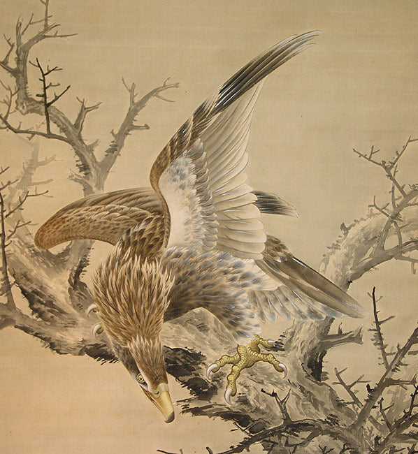 Taisho p. Museum Quality Scroll, Hawk ー鈴木 啓処 "枯木就鳥"