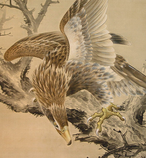 Taisho p. Museum Quality Scroll, Hawk ー鈴木 啓処 "枯木就鳥"