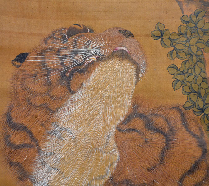 Edo p. Nagasaki School Tiger Scroll ー常山 源瑛