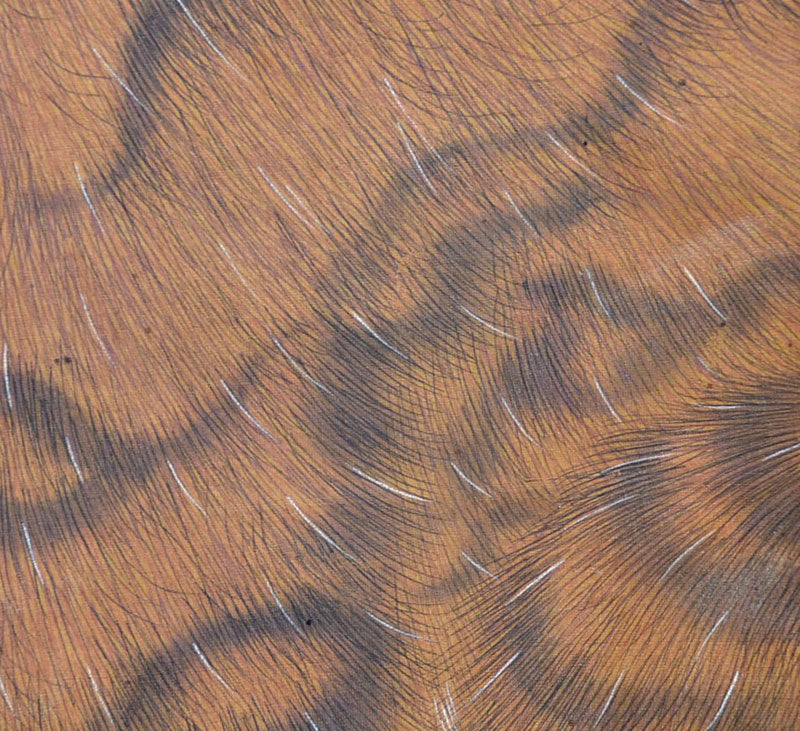 Edo p. Nagasaki School Tiger Scroll ー常山 源瑛