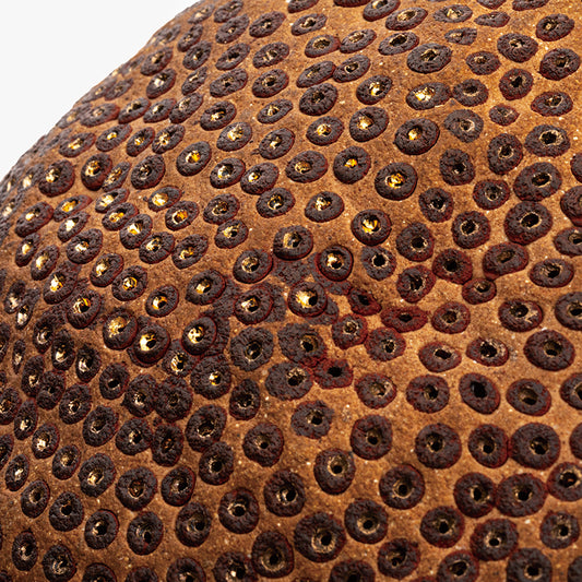 Skin of the earth Ⅳ ー向井 奈生子 “鼓動”