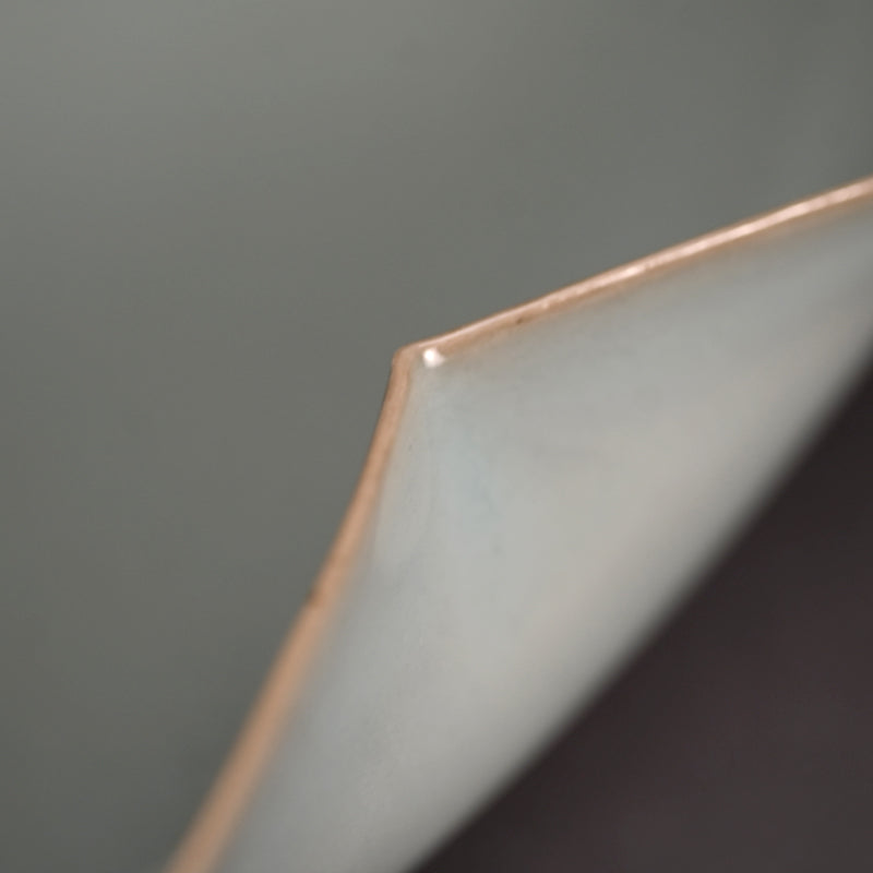 Kawase Shinobu 川瀬 忍