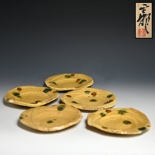 Shotaro Vibrant Set 5 Ki-Seto Dishes ー林 正太郎 “黄瀬戸 銘々皿”
