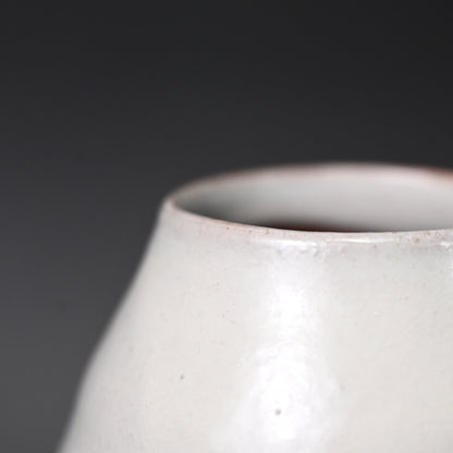 Classic Vase by Sodeisha Member ー山田 光 “白化粧 鉄繪 花入”