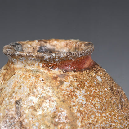 Iga Vase ー岸野 寛 “伊賀 焼〆花入”