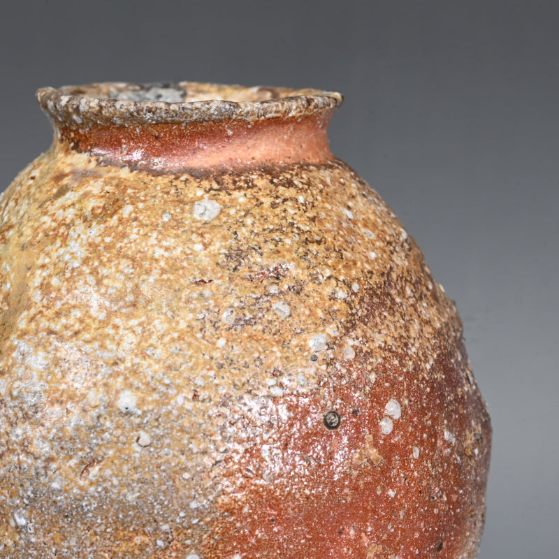 Iga Vase ー岸野 寛 “伊賀 焼〆花入”