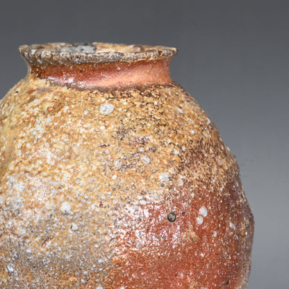 Iga Vase ー岸野 寛 “伊賀 焼〆花入”