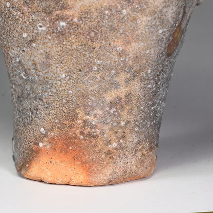 Iga Vase ー岸野 寛 “伊賀 焼〆花入”