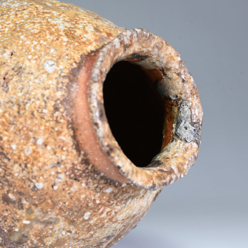 Iga Vase ー岸野 寛 “伊賀 焼〆花入”