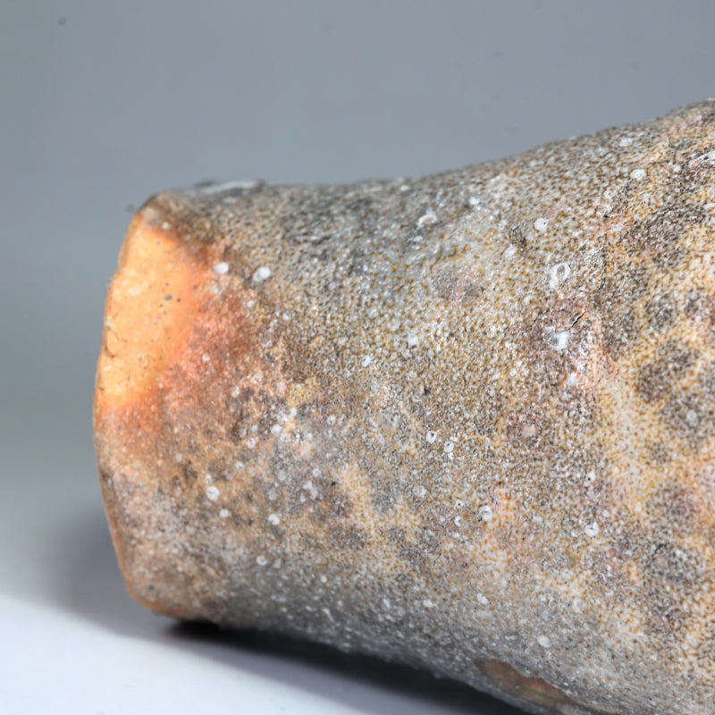 Iga Vase ー岸野 寛 “伊賀 焼〆花入”