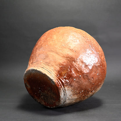 Iconic Shigaraki Tsubo ー高橋 春斎 "信楽焼 壺"