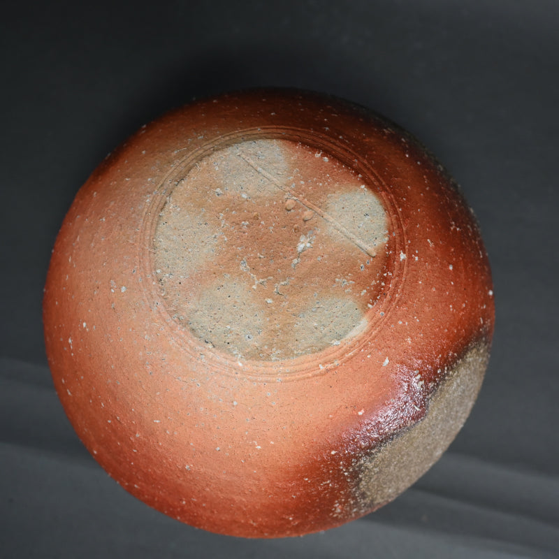 Classic Shigaraki Tsubo ー大谷 司朗 "信楽 壺”