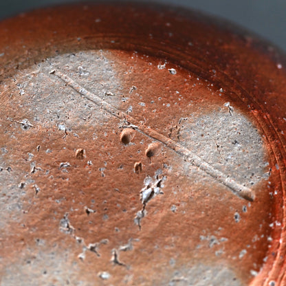 Classic Shigaraki Tsubo ー大谷 司朗 "信楽 壺”