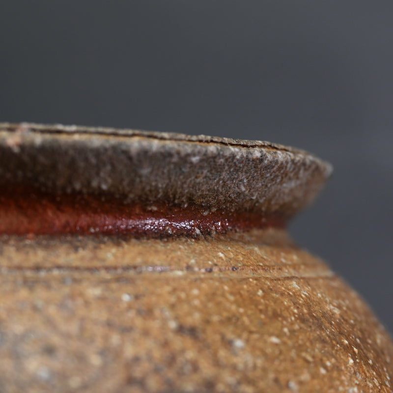 Classic Shigaraki Tsubo ー大谷 司朗 "信楽 壺”