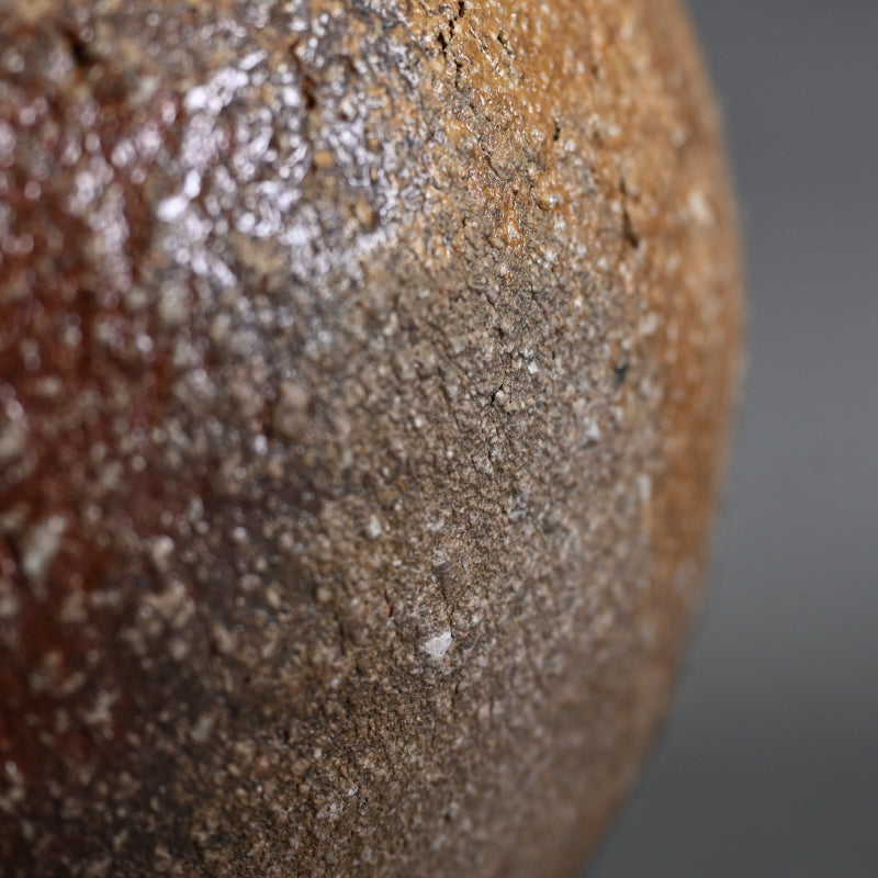 Classic Shigaraki Tsubo ー大谷 司朗 "信楽 壺”