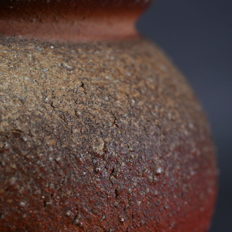 Classic Shigaraki Tsubo ー大谷 司朗 "信楽 壺”