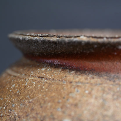 Classic Shigaraki Tsubo ー大谷 司朗 "信楽 壺”